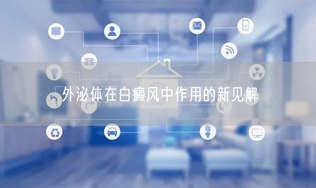 外泌体在白癜风中作用的新见解
